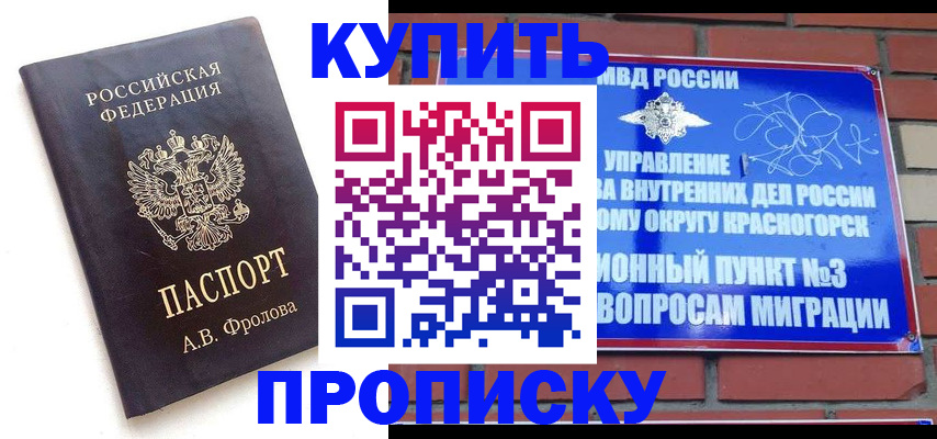 прописка поиск в Шатуре